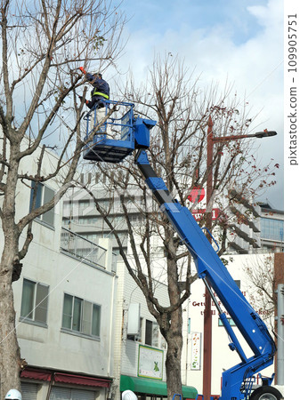Street tree pruning work: aerial work vehicle 109905751