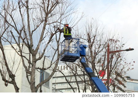 Street tree pruning work: aerial work vehicle 109905753