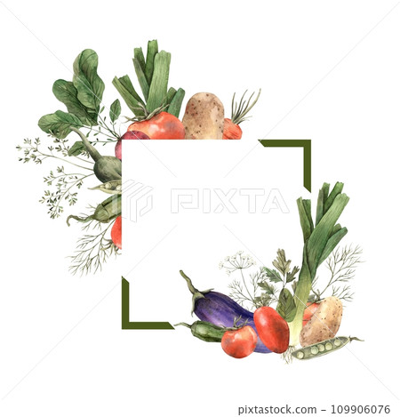 Watercolor square frame and circle of different vegetables: onion, eggplant, beet, tomato, dill. Hand drawn and isolated on a white background. Use in design, invitations, posters, signs, billboards Watercolor square frame and circle of different vegetables: onion, eggplant, beet, tomato, dill. Hand drawn and isolated on a white background. Use in design, invitations, posters, signs, billboards 109906076