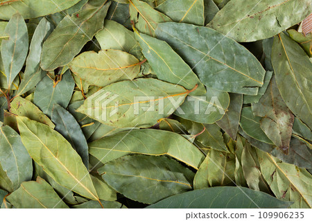 Pile of dried bay leaves lie on table Pile of dried bay leaves lie on table 109906235
