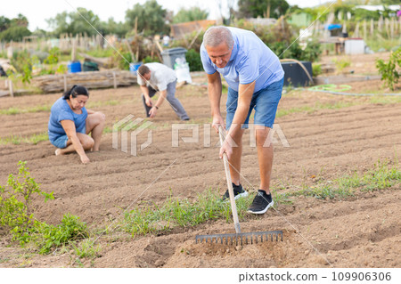 Men is leveling the beds ground with rake Men is leveling the beds ground with rake 109906306