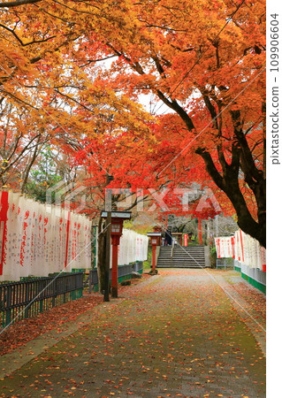 Autumn leaves of Da Ningong 109906604