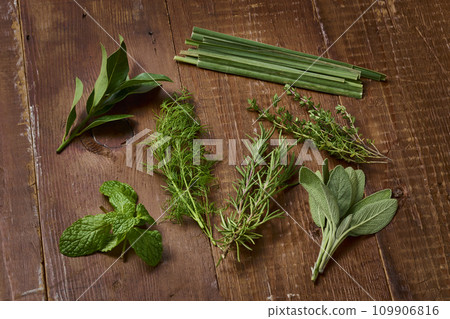 香草 香草 新鮮香草 新鮮香草 109906816