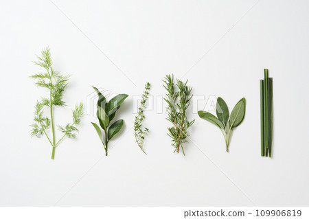 香草 香草 新鮮香草 新鮮香草 109906819