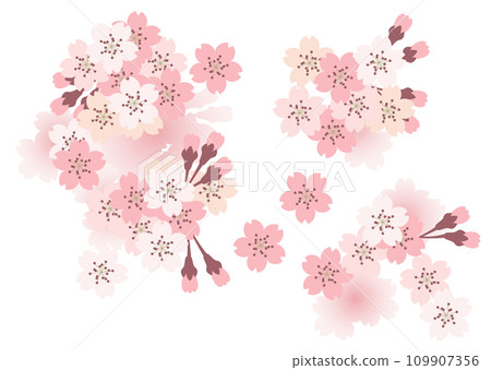Cherry blossom background material (parts) Cherry blossom background material (parts) 109907356