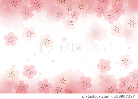 Cherry blossom background material (wallpaper) Cherry blossom background material (wallpaper) 109907357