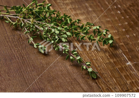 thyme herb fresh herbs 109907572