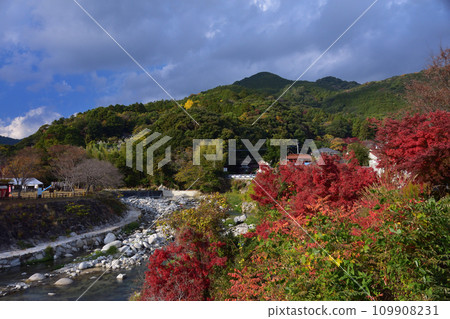 Autumn leaves at Nibiyama Park 109908231