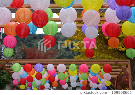 須山神社的燈籠 須山神社的燈籠 109908605
