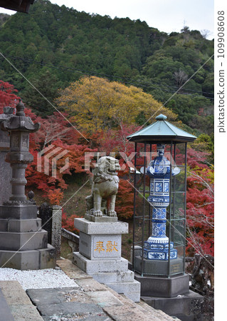 須山神社的秋葉 109908608