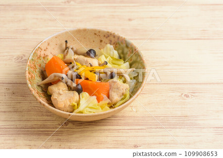 燉雞肉和蔬菜 燉雞肉和蔬菜 109908653