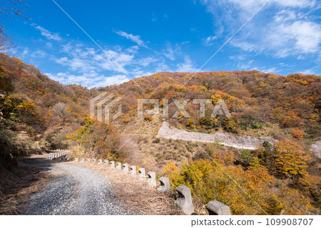 【森林公路】秋葉色彩的越野 【森林公路】秋葉色彩的越野 109908707