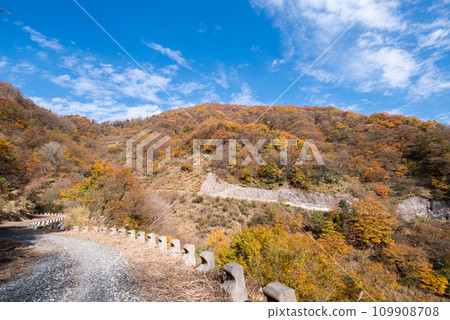 [Forest road] Off-road colored with autumn leaves 109908708