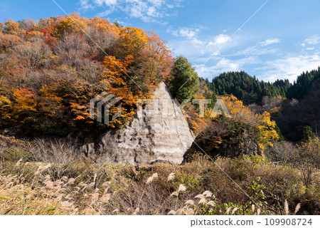[Forest road] Off-road colored with autumn leaves 109908724