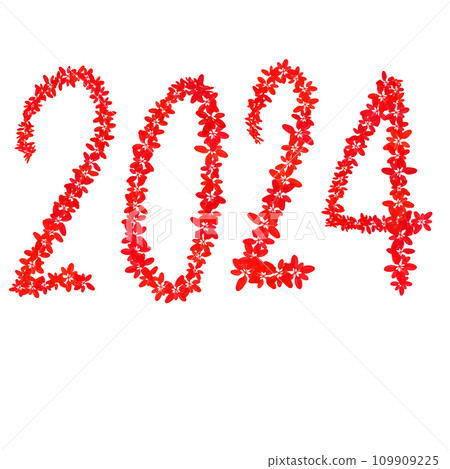 2024 2024 109909225