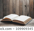 打開的書 2 109909345