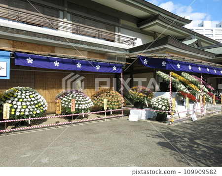 Yushima Tenjin in November decorated with chrysanthemum flowers (during the Bunkyo Chrysanthemum Festival) 109909582