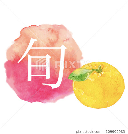 Watercolor illustration of mandarin oranges and watercolor icons 109909983