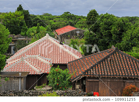 Yaeyama Islands Taketomi Island 109911255