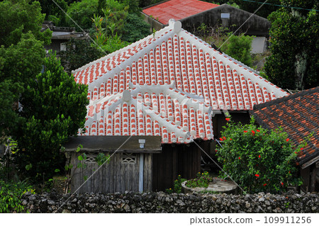 Yaeyama Islands Taketomi Island 109911256