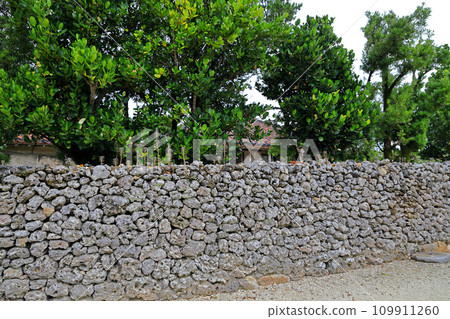 Yaeyama Islands Taketomi Island 109911260