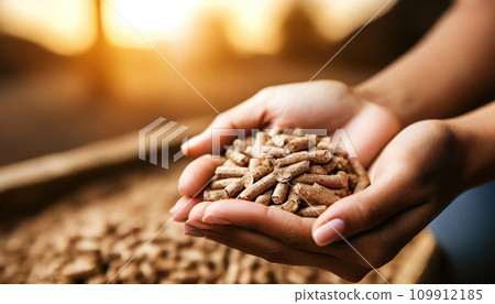 Harmony in Hands: Woman's Grasp on Sustainable Biomass 109912185