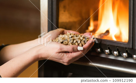 Harmony in Hands: Woman's Grasp on Sustainable Biomass Harmony in Hands: Woman's Grasp on Sustainable Biomass 109912190