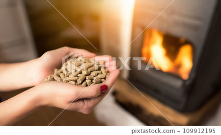 Harmony in Hands: Woman's Grasp on Sustainable Biomass Harmony in Hands: Woman's Grasp on Sustainable Biomass 109912195