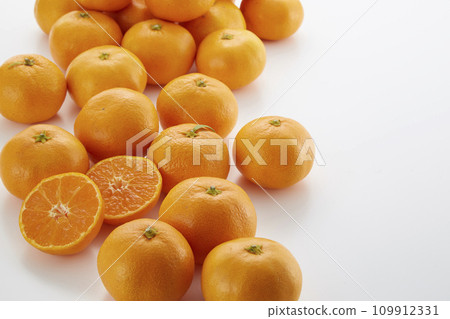 Mandarin oranges_collection_from Wakayama 109912331
