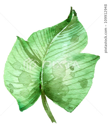 Autumn watercolor hand paint element Autumn watercolor hand paint element 109912948