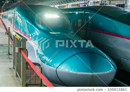 [Transportation image] Tohoku Shinkansen departing (Tokyo Station) 109913861