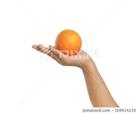 Clipping path, Hand holding fruit, orange, on white background. 109914219