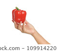 Hand holding fresh vegetables. Red bell pepper on white background, clipping path. 109914220