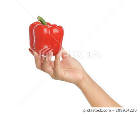 Hand holding fresh vegetables. Red bell pepper on white background, clipping path. 109914220
