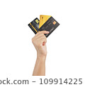 Hand holding many credit cards, clipping path. 109914225