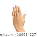 Clipping path, hand up isolated on white background. 109914227