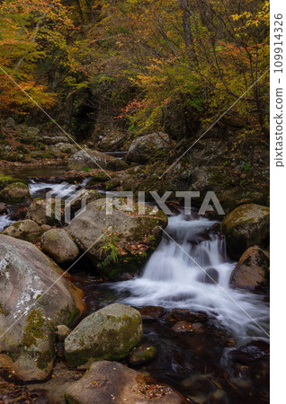 Hontani River valley and clear stream at the peak of autumn leaves Hontani River valley and clear stream at the peak of autumn leaves 109914326
