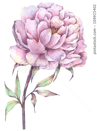 Autumn flower watercolor hand paint 109915402