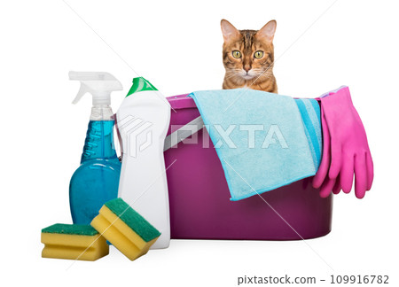 Cleaning products and tools for cleaning the house on a transparent background. Cleaning products and tools for cleaning the house on a transparent background. 109916782