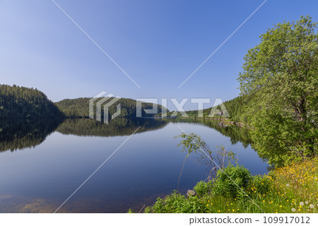 Panoramic view of Snasavatnet in Steinkjer, Norway, with dense forests reflected in calm waters 109917012