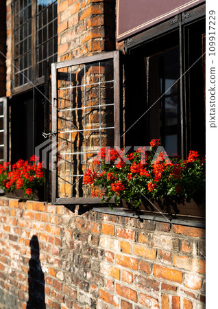 old walls of the historical part of the medieval city of Torun. Poland. Europe. 109917229