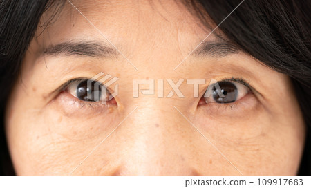 女性眼睛高級 女性眼睛高級 109917683