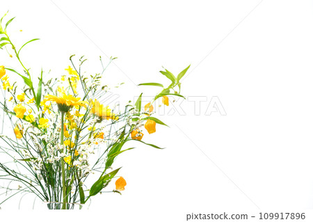 Flowers Plants Flower Arrangements 109917896