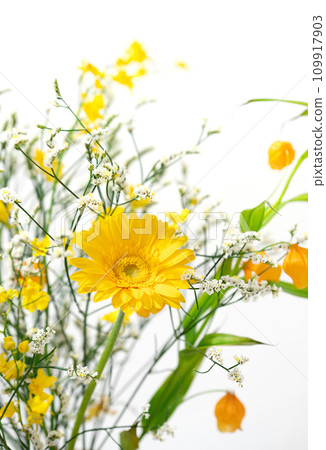 花卉植物插花 花卉植物插花 109917903