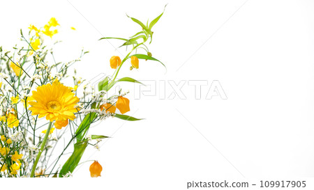花卉植物插花 109917905