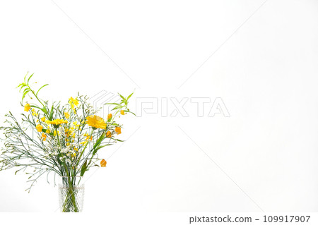 花卉植物插花 109917907