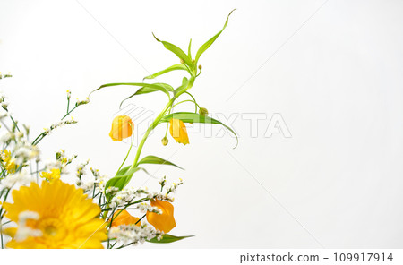 Flowers Plants Flower Arrangements 109917914