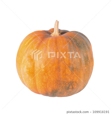 Pumpkin on Isolated White Background. Thanksgiving, Halloween and Autumn Holiday Symbol. File with Clipping Path. 109918191