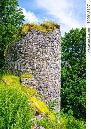 Kumburk Castle Ruins near Nova Paka, Czech Republic 109918197