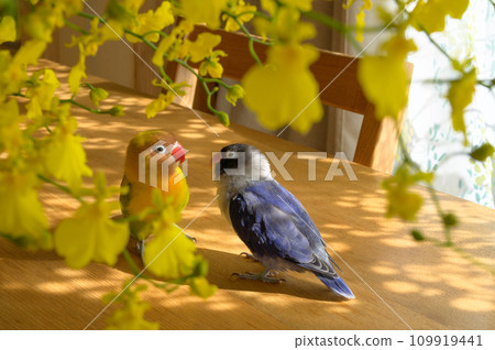 按鈕軟木塞 109919441